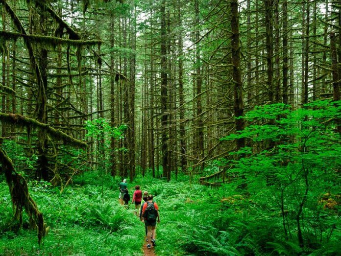 Топ 5 лучших мест в мире для экотуризма